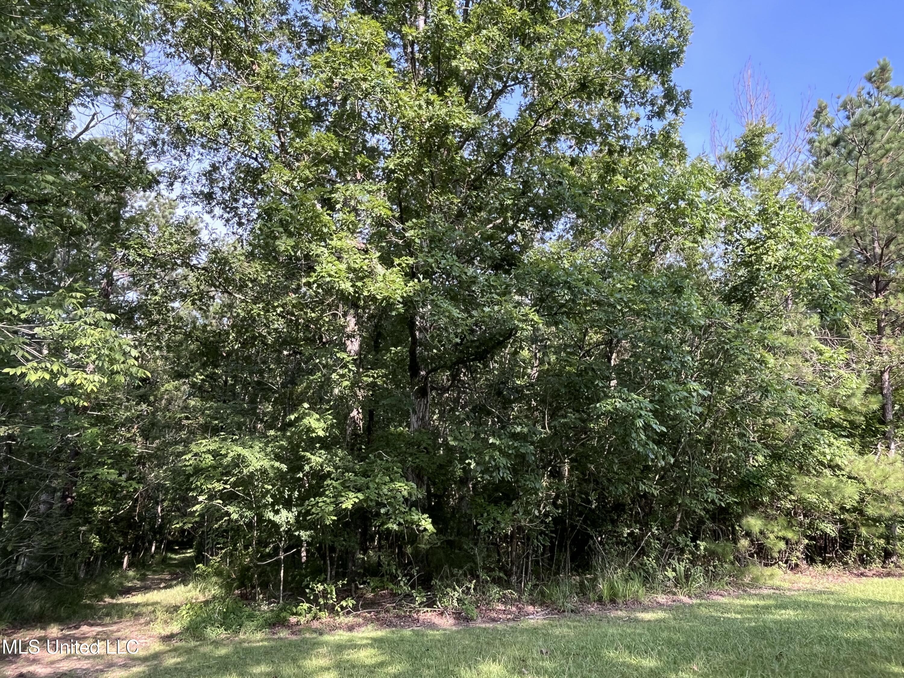 297 Barnes Road Florence, MS 39073 - Photo 142 of 170 IMG_8453