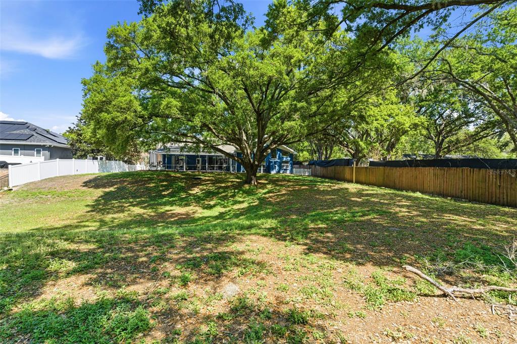 3042 Colonial Ridge Drive Brandon, FL 33511 - Photo 64 of 89