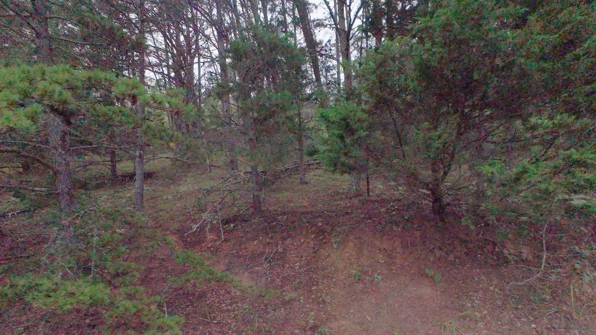 Tbd Short Ridge Drive Bland, VA 24315 - Photo 18 of 125 Gallery Image 18