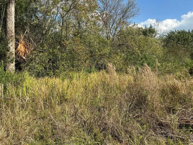 a view of a yard with a tree