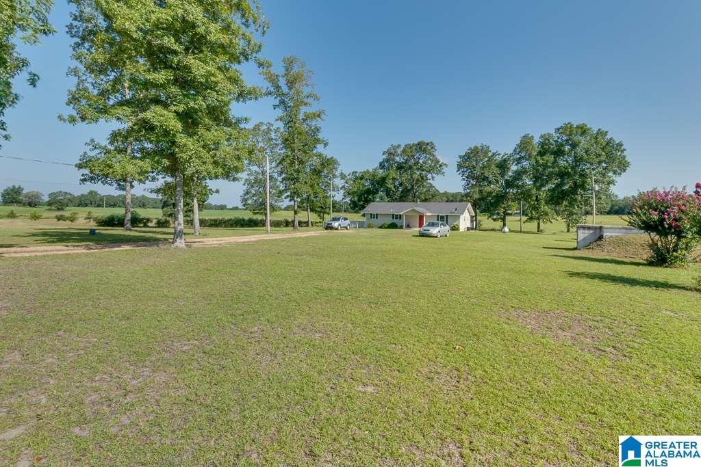 466 County Road 368 Verbena, AL 36091 - Photo 3 of 41
