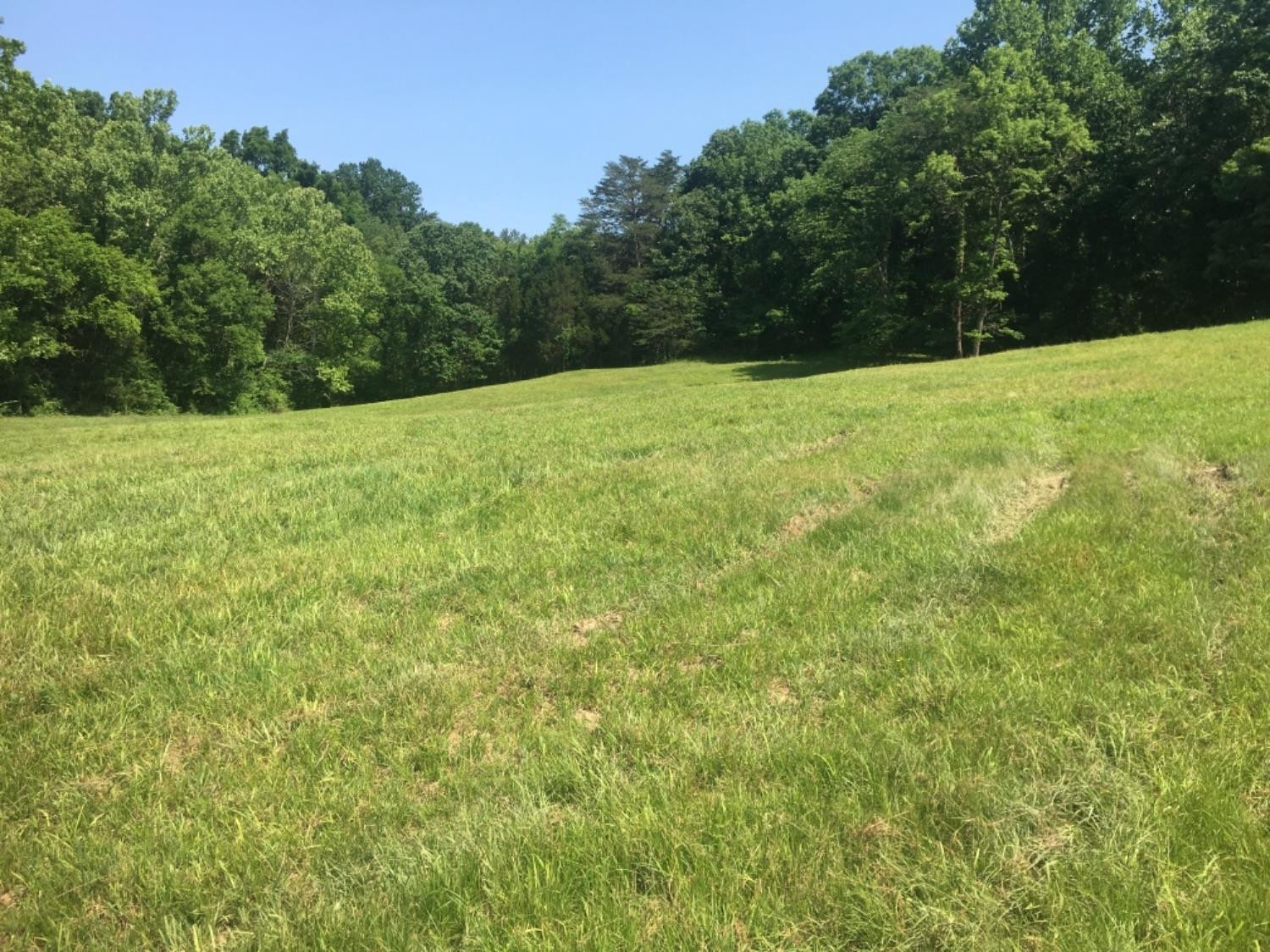 852 Blue Lick Road Berea, KY 40403 - Photo 13 of 14 Listing Photo