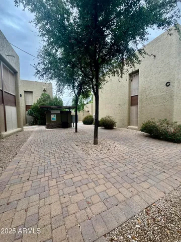 a view of a yard with plants and trees