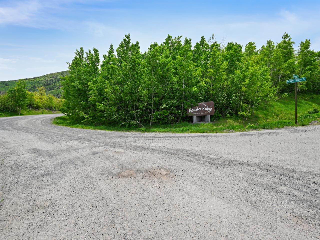420 Powder Ridge Circle Mesa, CO 81643 - Photo 3 of 18 a view of a house with a street