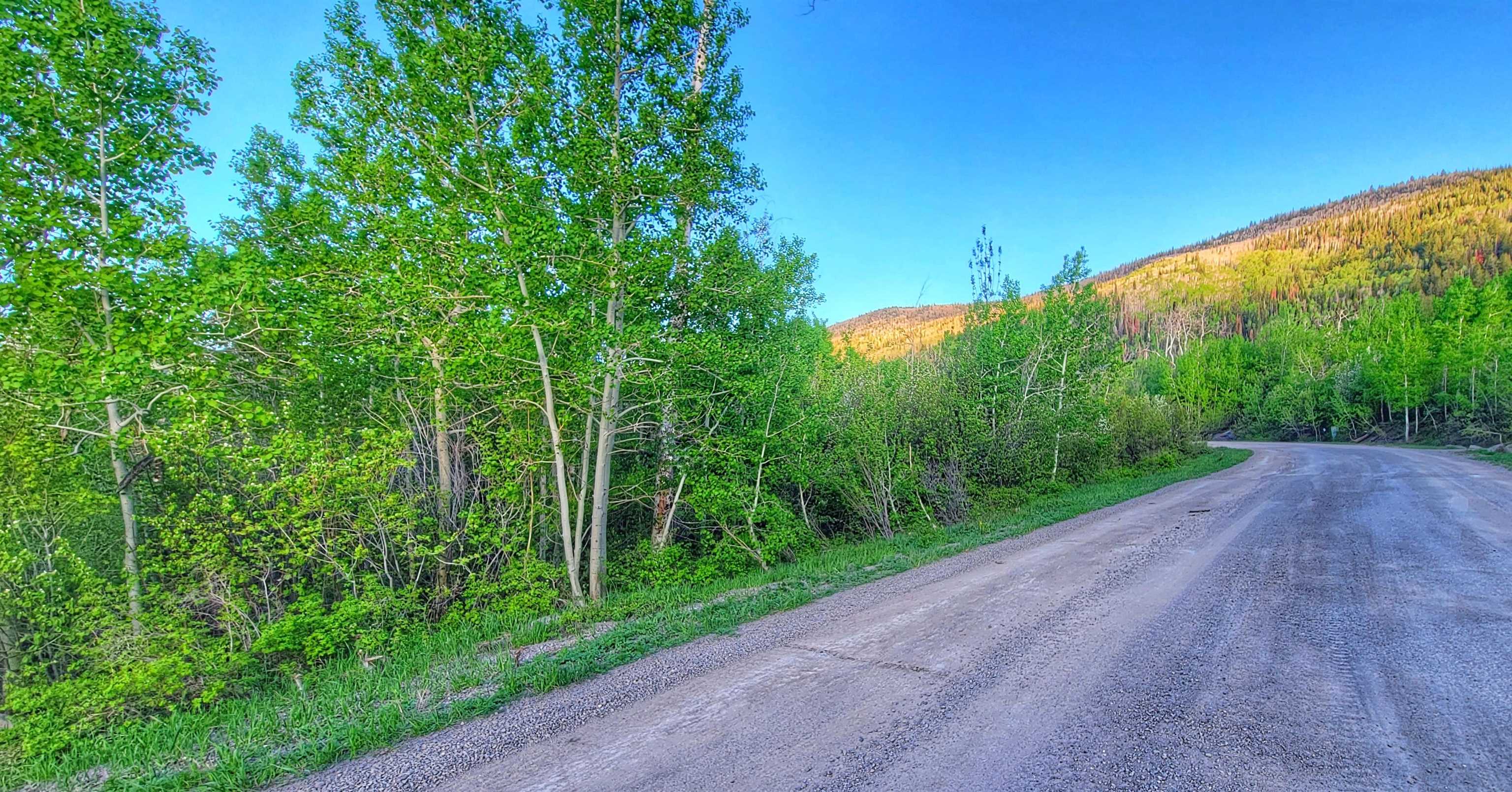 420 Powder Ridge Circle Mesa, CO 81643 - Photo 4 of 18 a view of a street