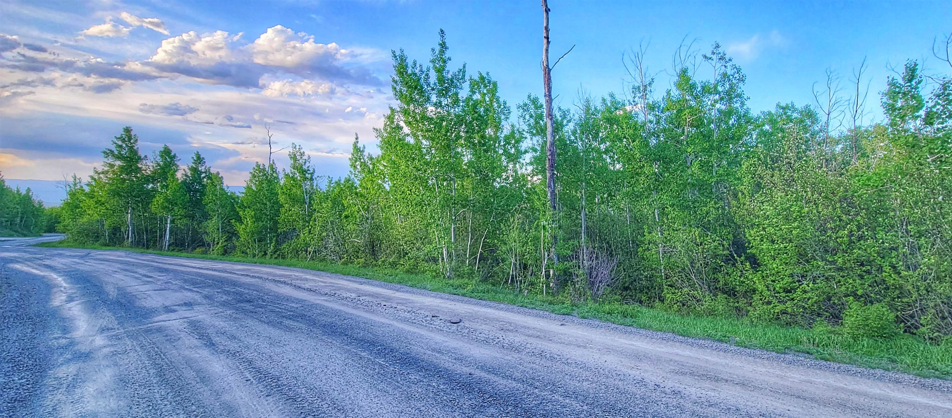 420 Powder Ridge Circle Mesa, CO 81643 - Photo 5 of 18 a view of a yard with plants and a wooden fence