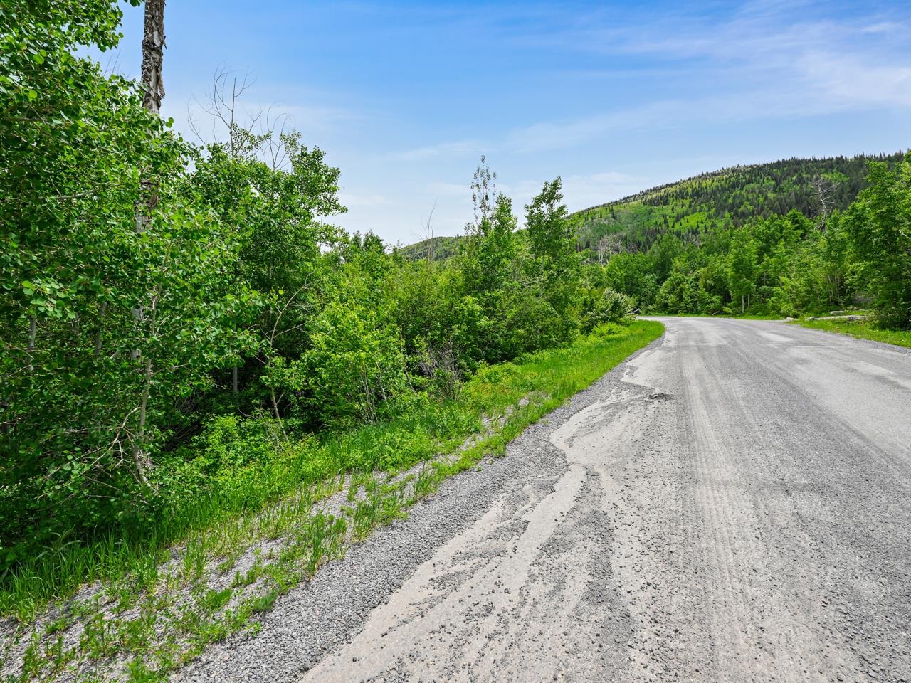 420 Powder Ridge Circle Mesa, CO 81643 - Photo 6 of 18