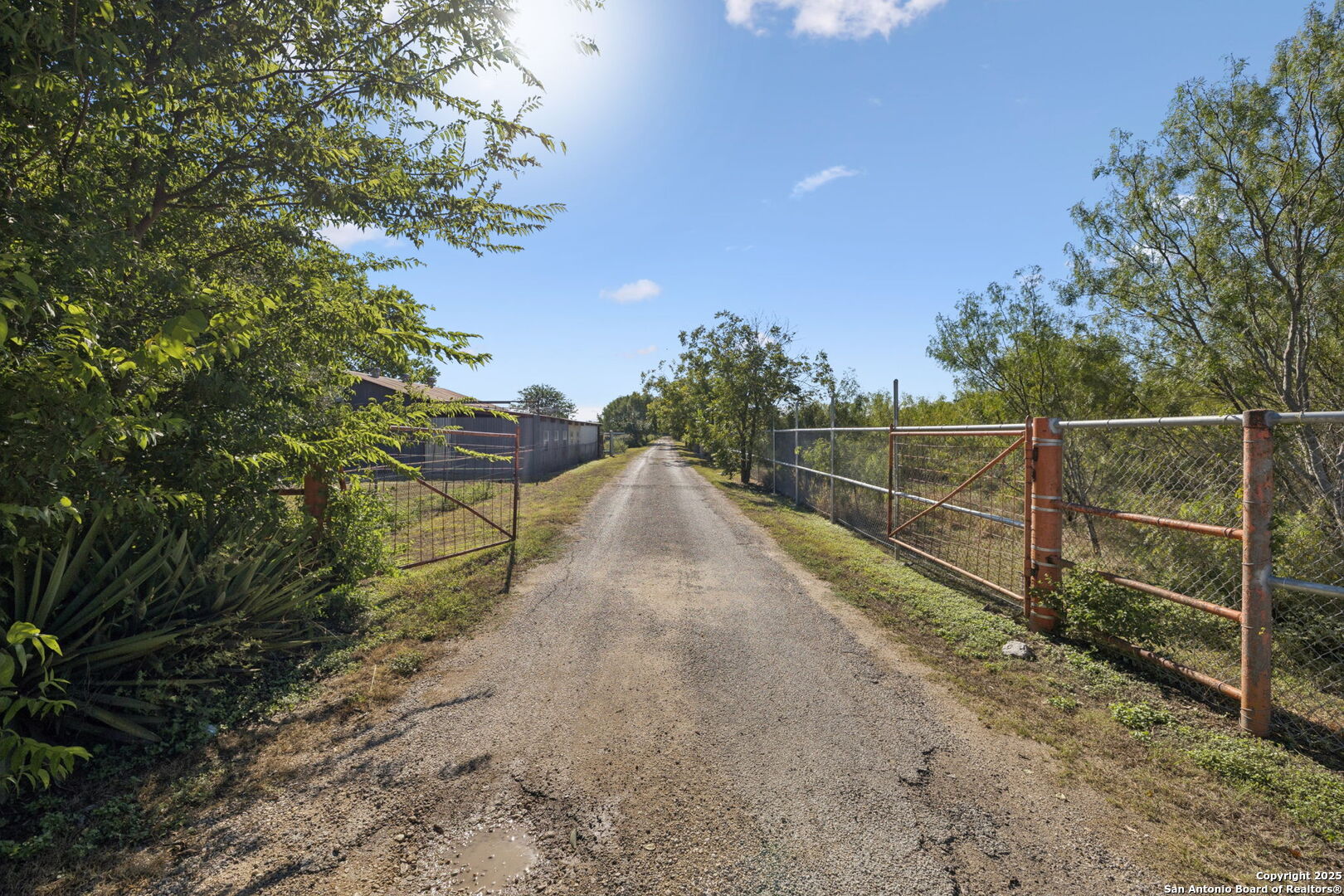 13146 Galm Road San Antonio, TX 78254 - Photo 16 of 45 a view of a pathway with a wrought fence
