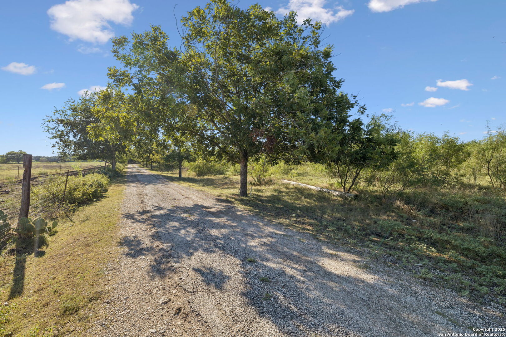 13146 Galm Road San Antonio, TX 78254 - Photo 17 of 45 a view of a yard with a tree