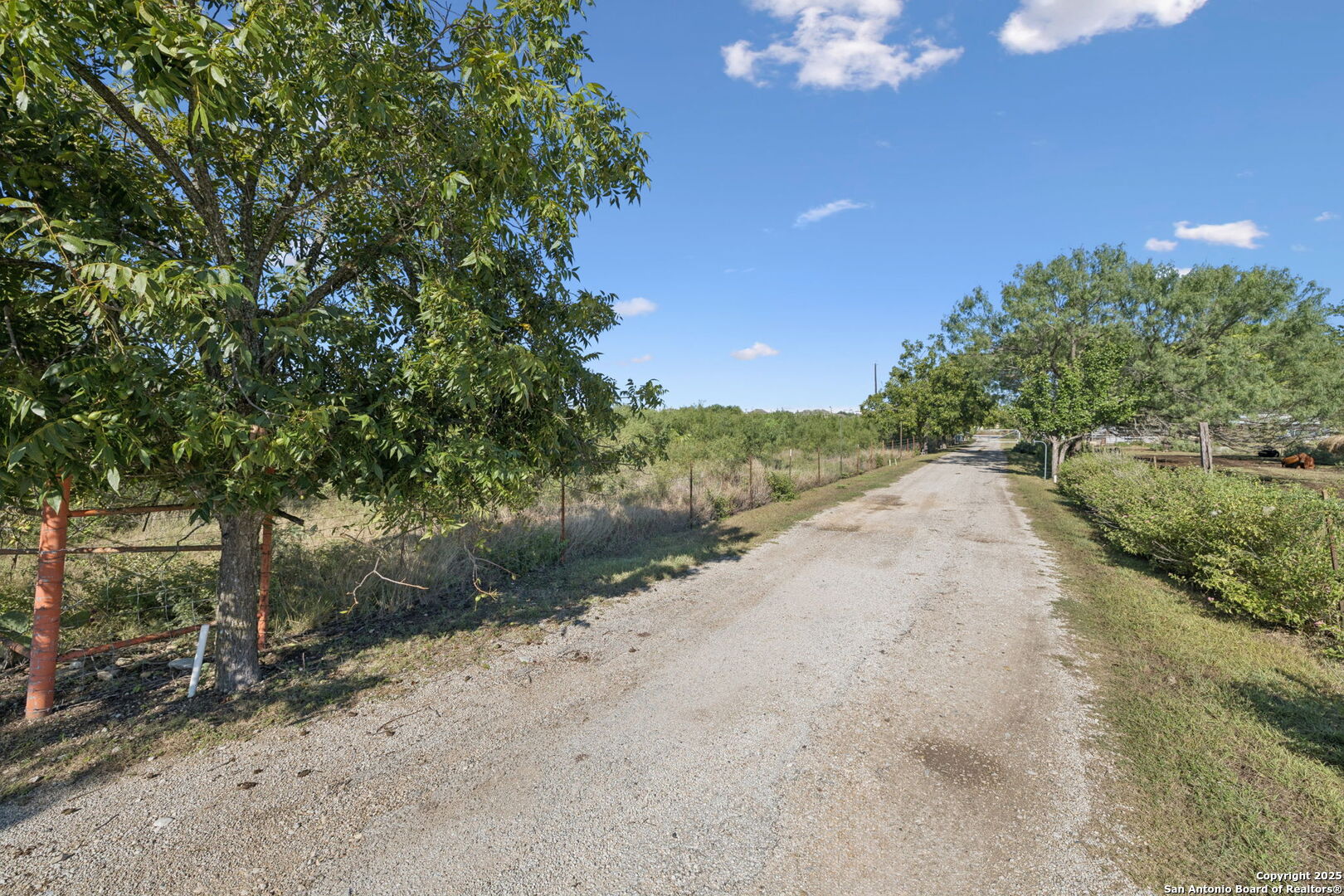 13146 Galm Road San Antonio, TX 78254 - Photo 22 of 45 a view of a road with a yard