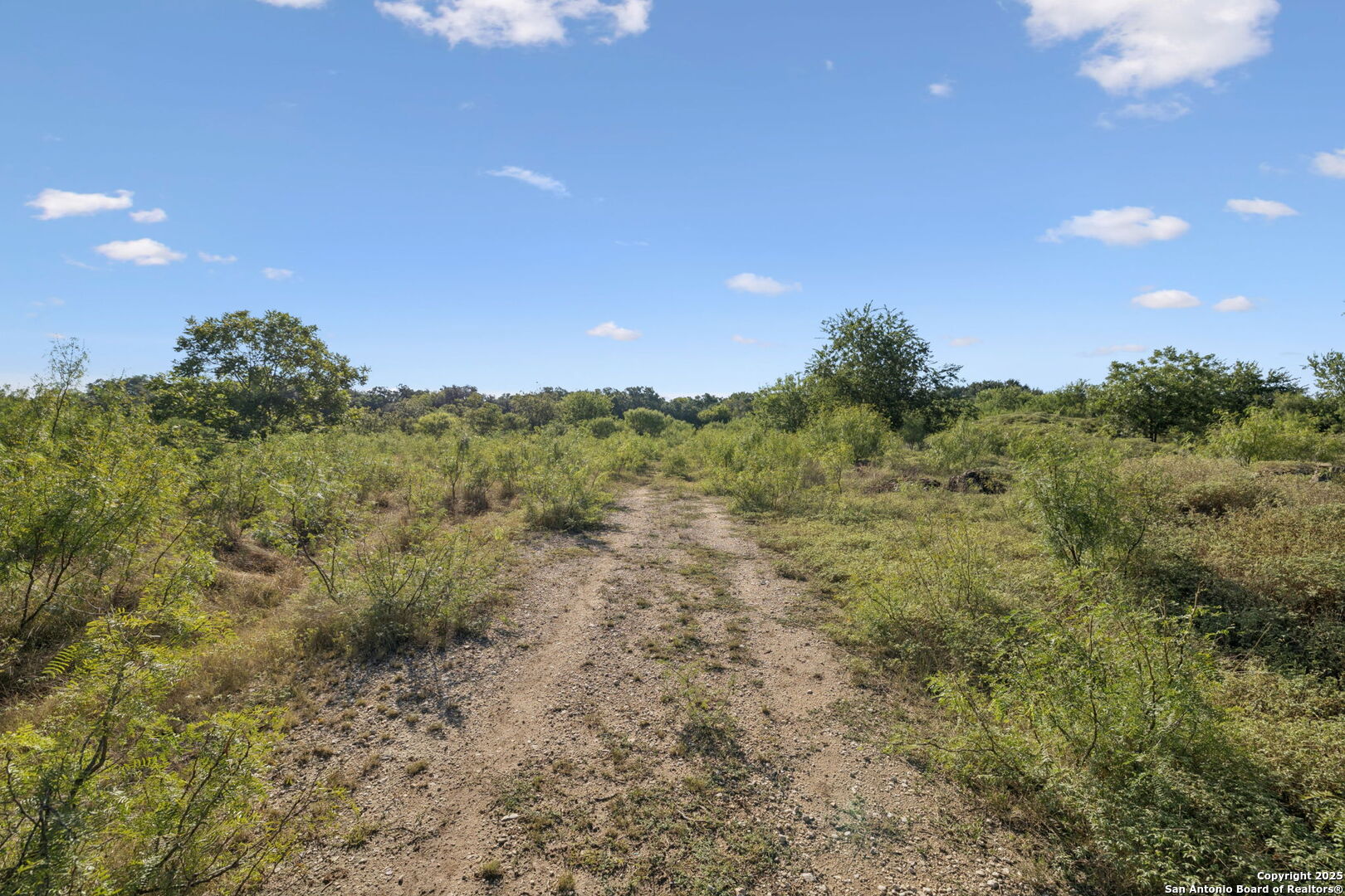 13146 Galm Road San Antonio, TX 78254 - Photo 25 of 45 a view of a forest with a houses
