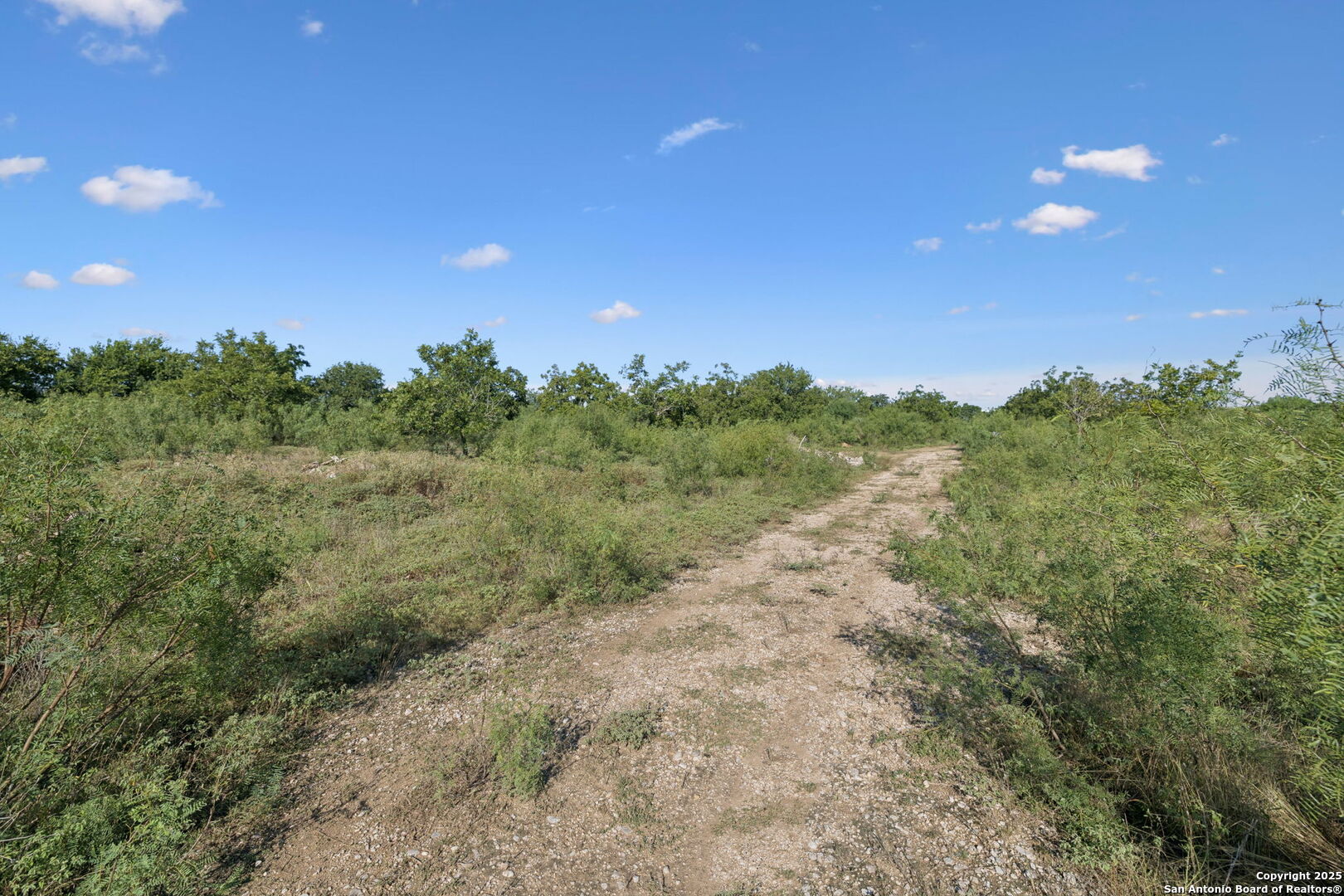 13146 Galm Road San Antonio, TX 78254 - Photo 26 of 45 a view of a field with trees in the background