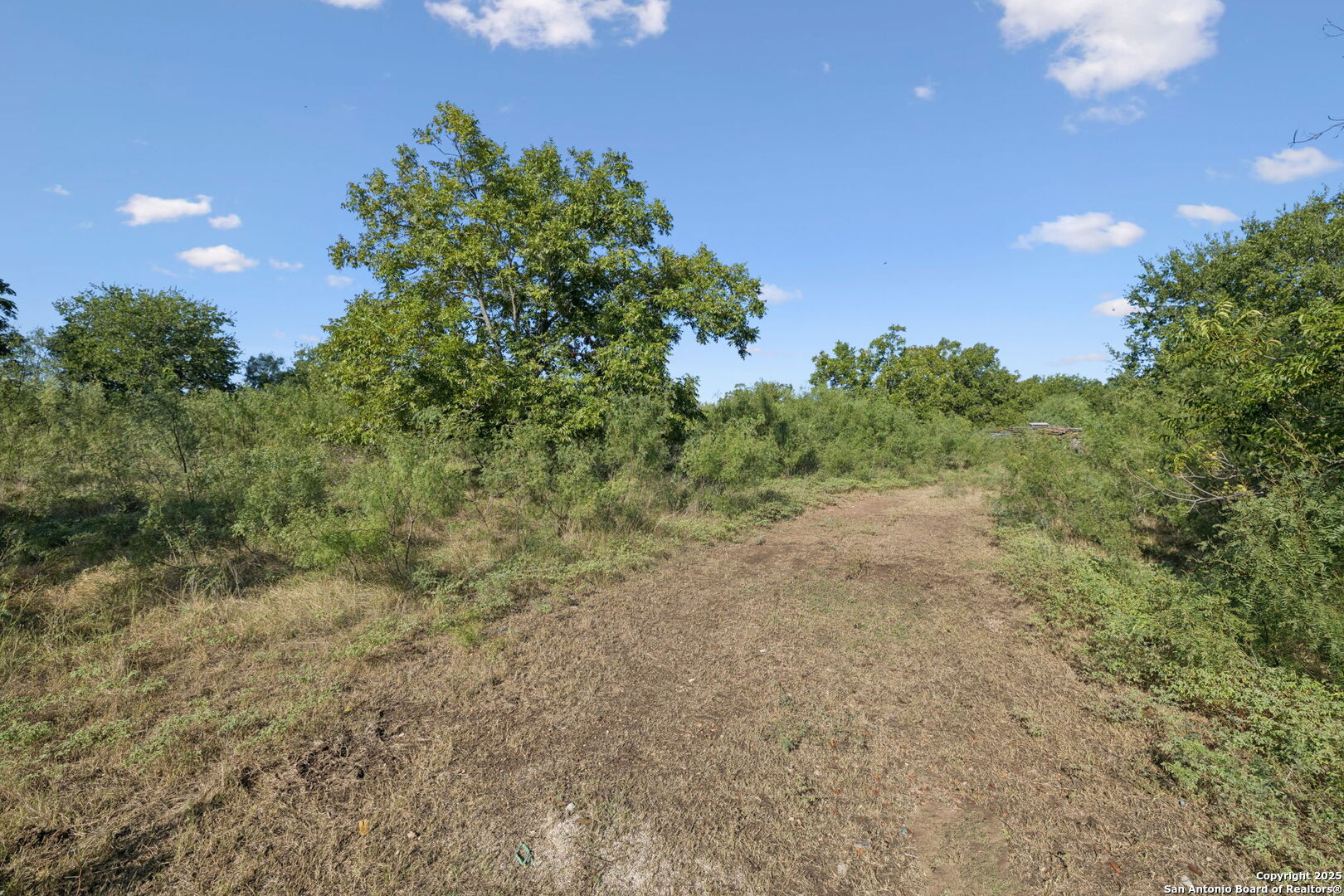 13146 Galm Road San Antonio, TX 78254 - Photo 27 of 45 a view of a field with plants and trees