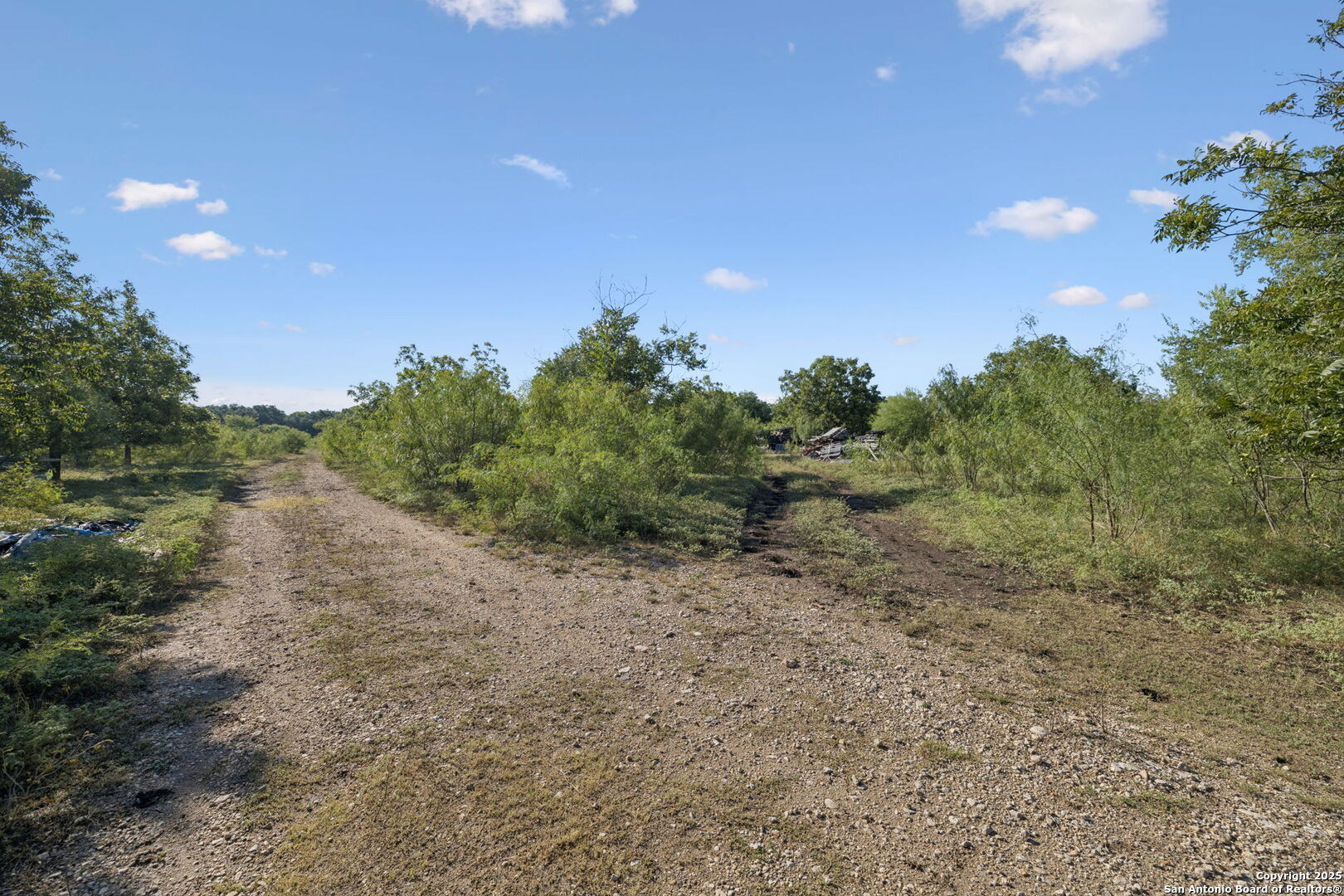 13146 Galm Road San Antonio, TX 78254 - Photo 29 of 45 a view of a dry yard with lots of green space