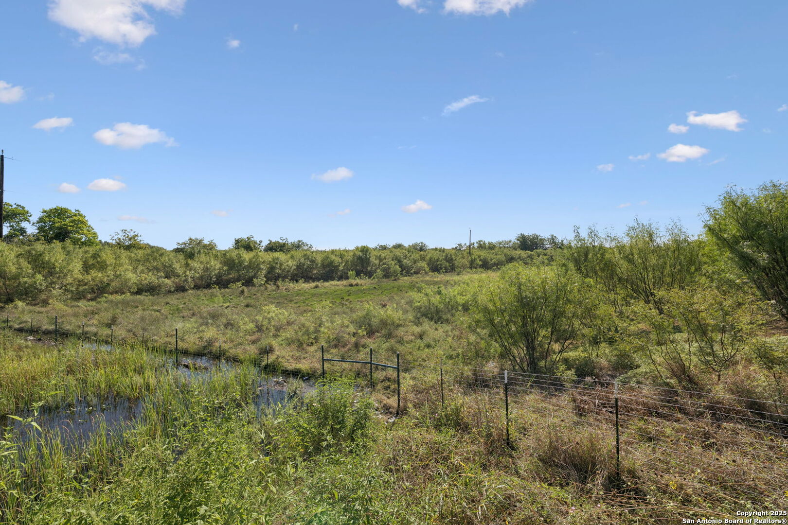 13146 Galm Road San Antonio, TX 78254 - Photo 31 of 45 a view of a lake in middle of forest