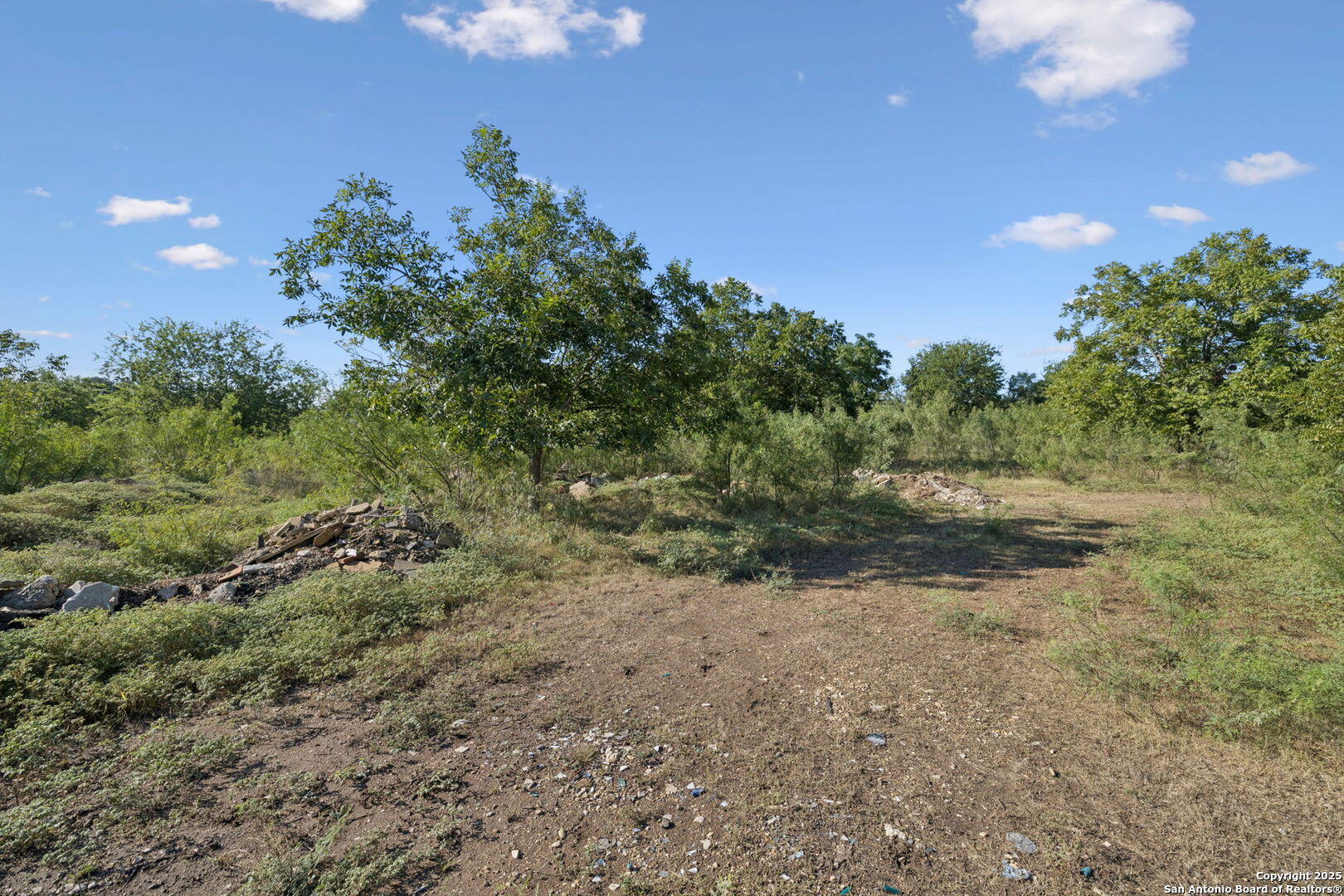 13146 Galm Road San Antonio, TX 78254 - Photo 32 of 45 a view of a yard with a tree