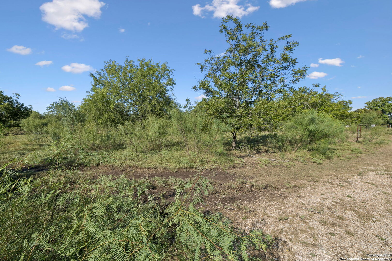 13146 Galm Road San Antonio, TX 78254 - Photo 33 of 45 a view of a yard with a tree