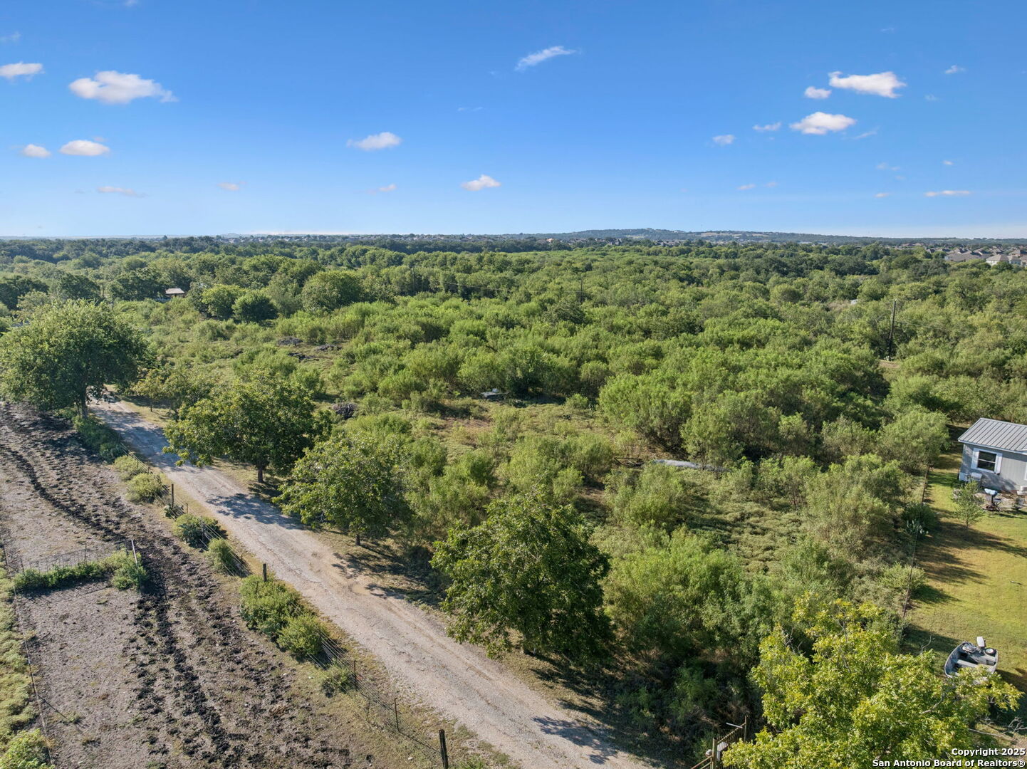 13146 Galm Road San Antonio, TX 78254 - Photo 35 of 45 a view of a yard with an trees