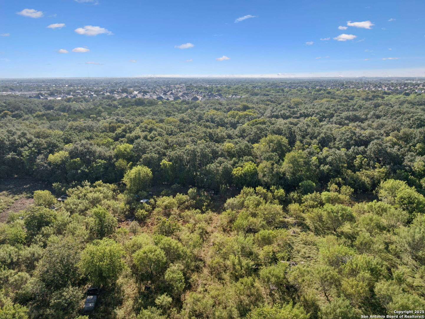 13146 Galm Road San Antonio, TX 78254 - Photo 40 of 45 a view of a green field