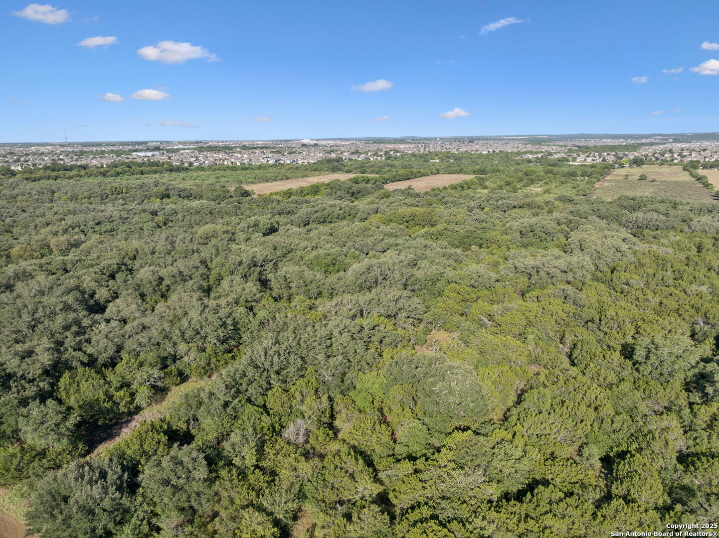 13146 Galm Road San Antonio, TX 78254 - Photo 44 of 45 a view of an outdoor space and a yard