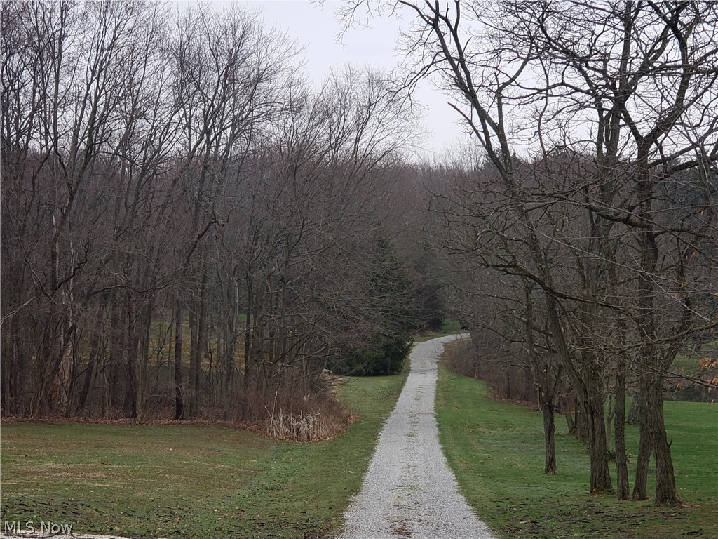 12425 Whitman Road Doylestown, OH 44230 - Photo 3 of 23 Gallery Image 3