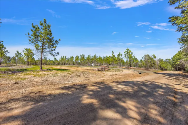 a view of a yard with palm trees