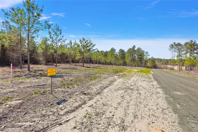 a view of a park with large trees