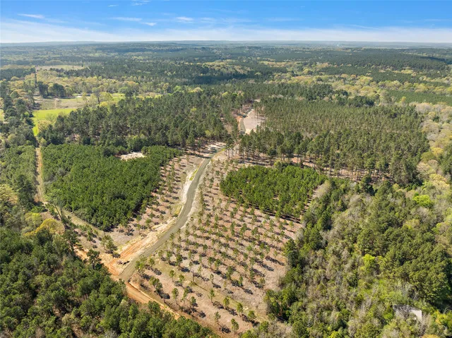 a view of city and ocean