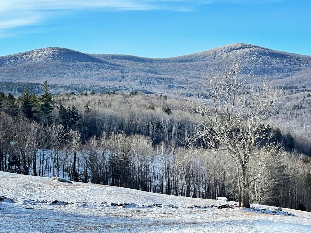 2329 Faulkner Road Whitingham, VT 05361 - Photo 3 of 29