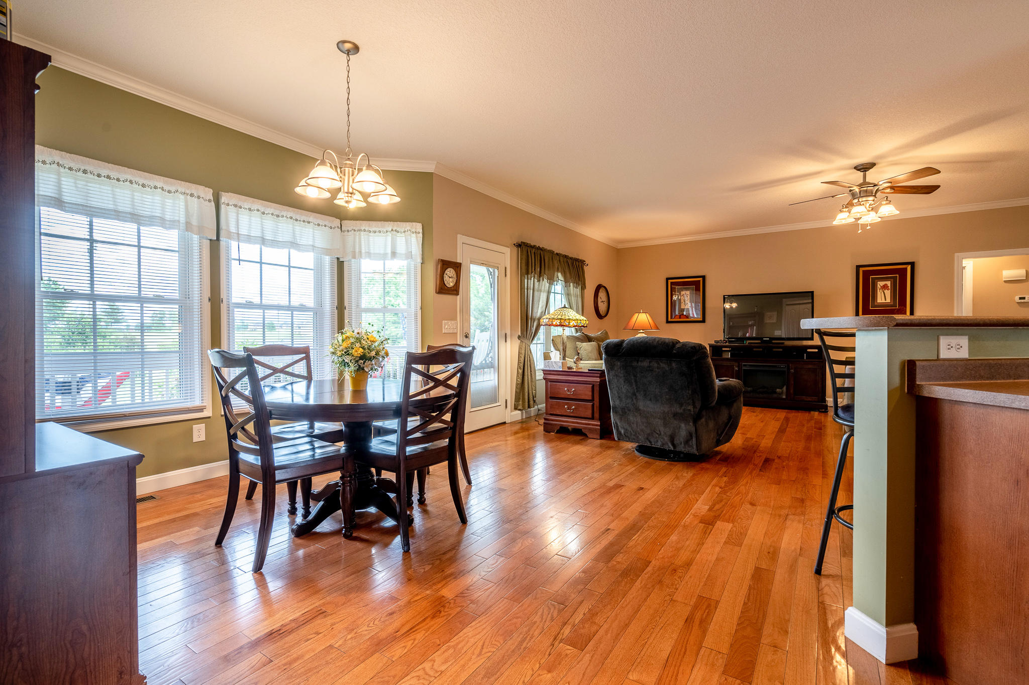 280 Jimmy Johnston Road Greeneville, TN 37743 - Photo 15 of 54 Jimmy Johnston Rd 50
