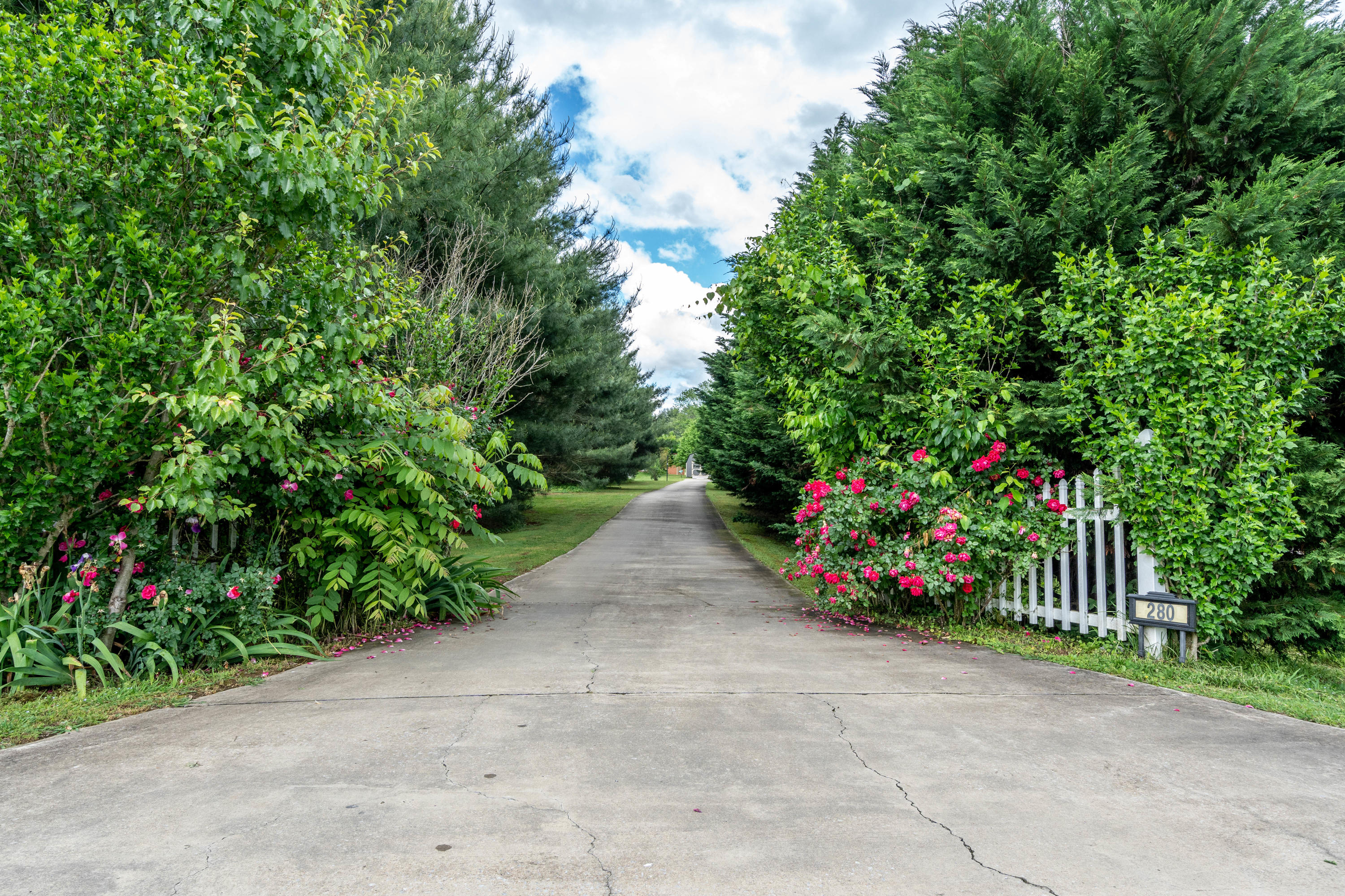 280 Jimmy Johnston Road Greeneville, TN 37743 - Photo 51 of 54 Jimmy Johnston Rd 60
