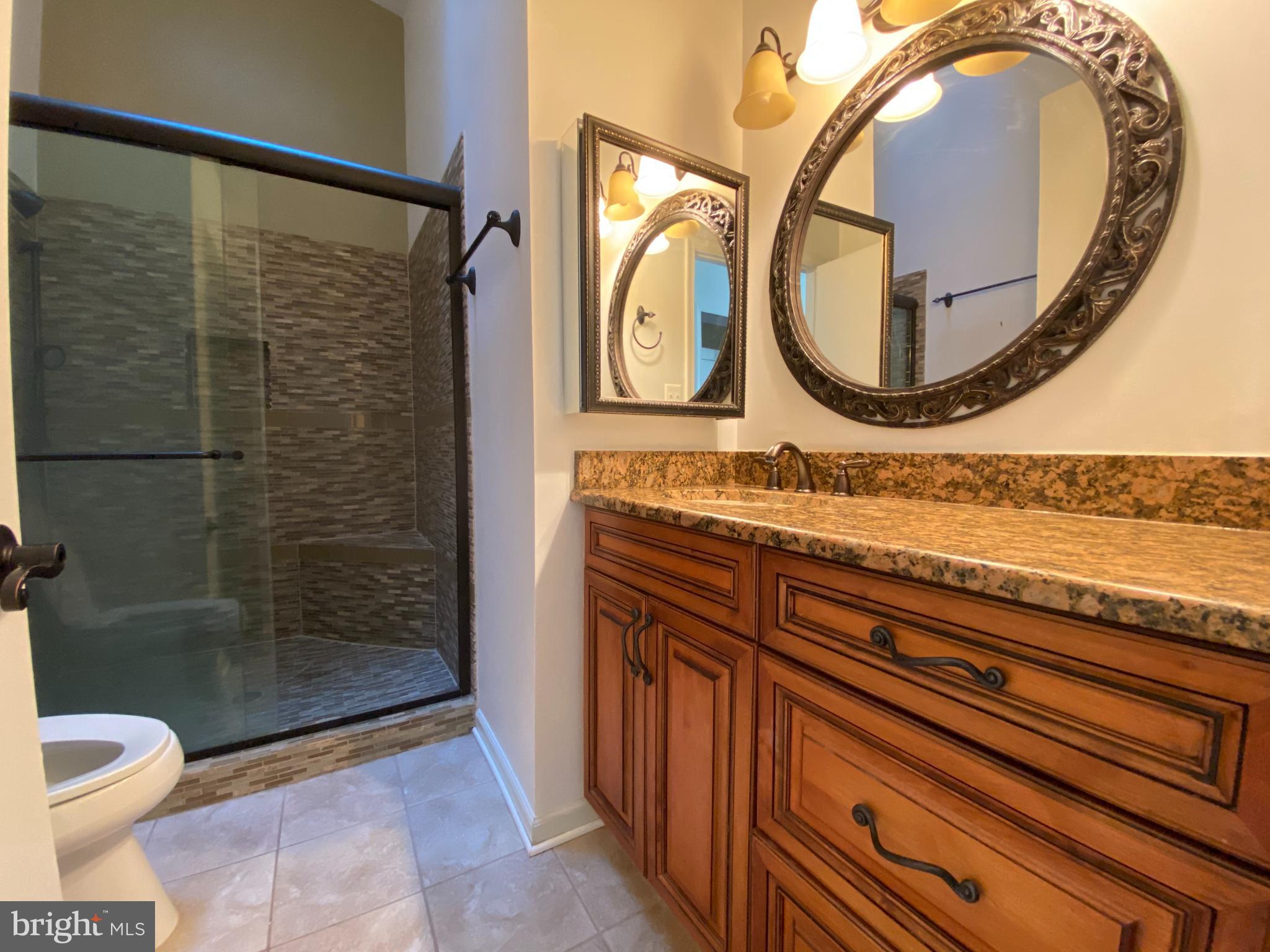 12944 Grays Pointe Road, Unit 12944C Fairfax, VA 22033 - Photo 15 of 16 a bathroom with a sink a toilet and a mirror
