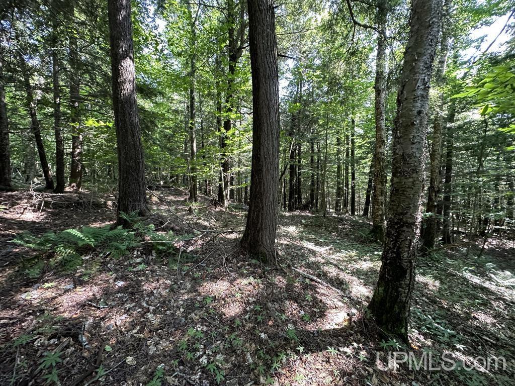 0 Cemetery Road Munising, MI 49862 - Photo 32 of 34 Gallery Image 32