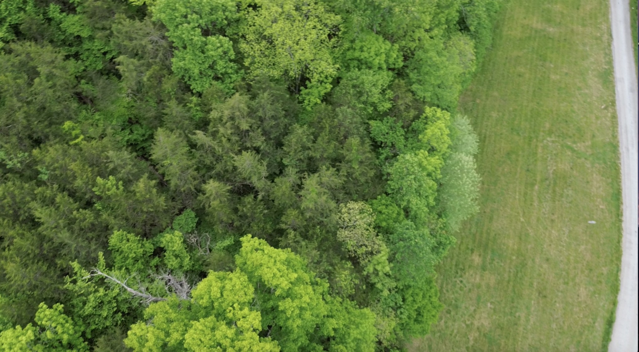 0 Hackett Hollow Road Pleasant Shade, TN 37145 - Photo 7 of 11