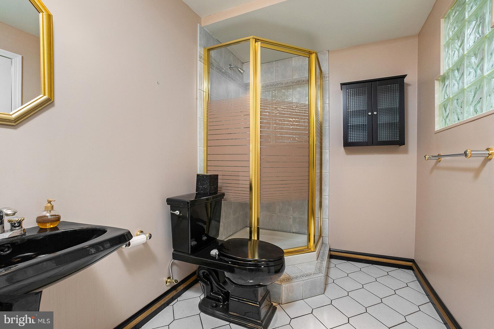 5819 Stone Ridge Drive Centreville, VA 20120 - Photo 20 of 24 Guest bathroom #2, on the lower level.