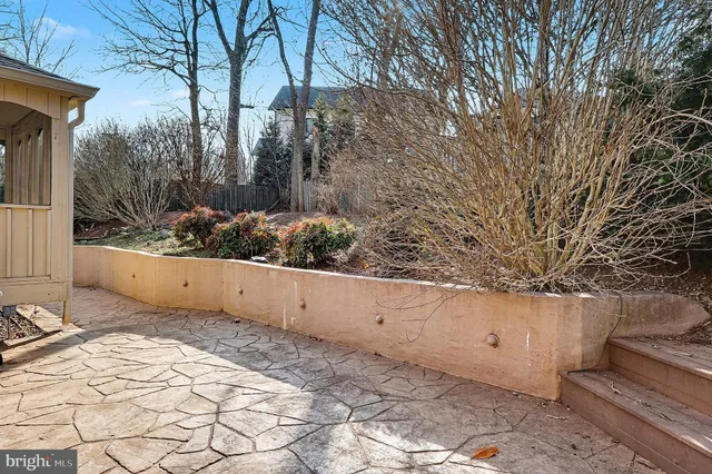 a view of backyard and trees