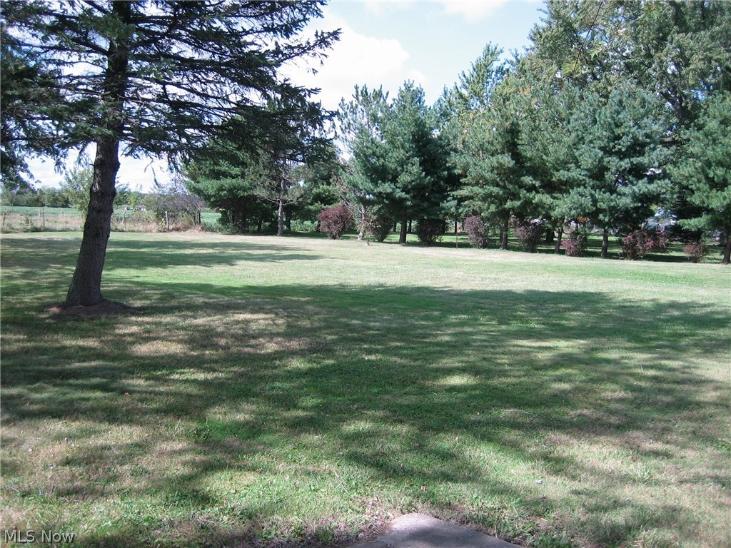 9010 Spencer Road Homerville, OH 44235 - Photo 6 of 6 Back of Lot