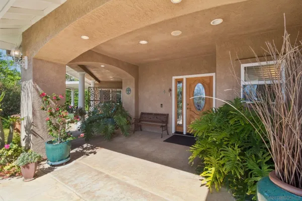 a potted plant sitting in front of a house
