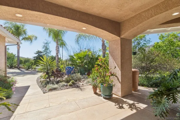 a potted plant sitting in front of a door