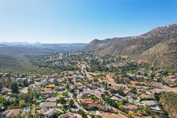 an aerial view of mountain and tree
