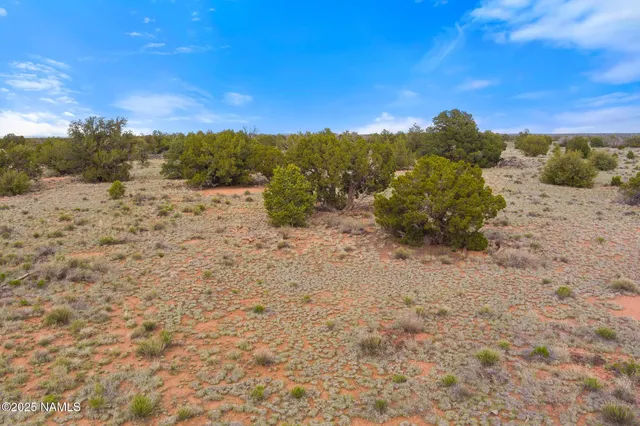 a view of a dry yard with wooden fence