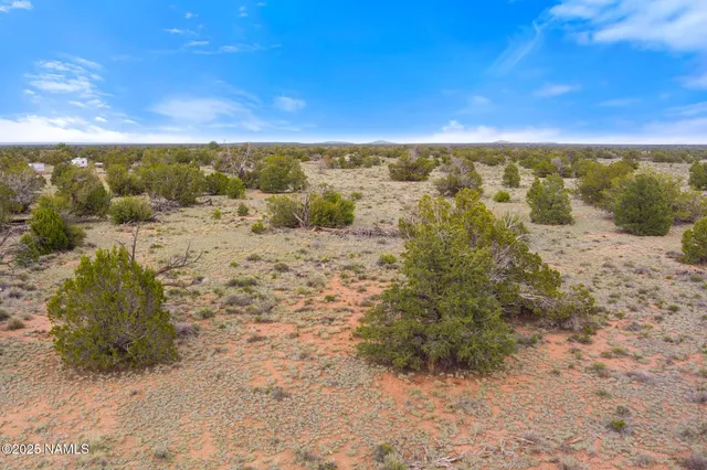 a view of a yard with wooden fence