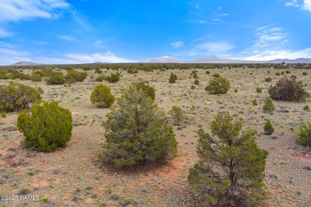 a view of a dry yard with mountains in the background
