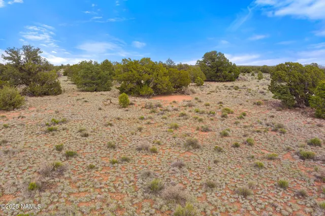 a view of mountain view with lots of bushes