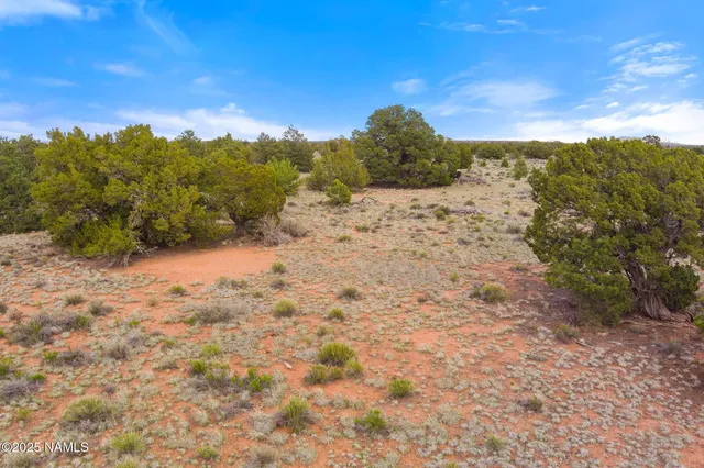 a view of a dry yard with mountains in the background