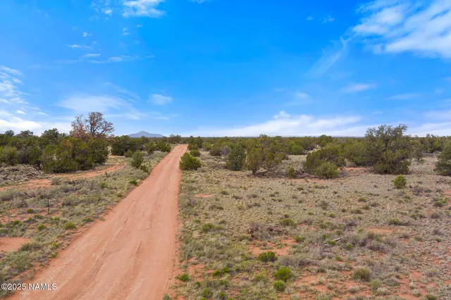 a view of a pathway with a yard