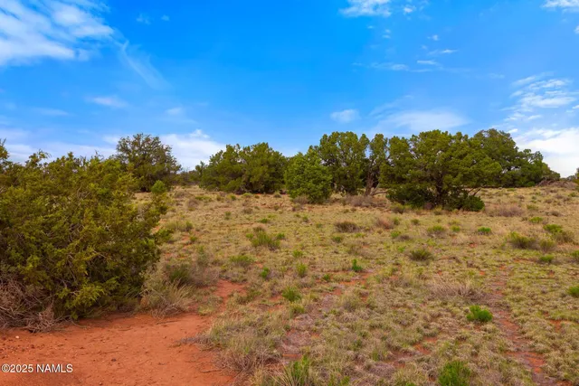a view of a lake with a mountain