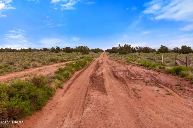 a view of a road with a yard