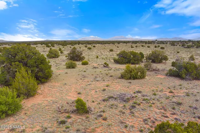 a view of a pathway with a yard