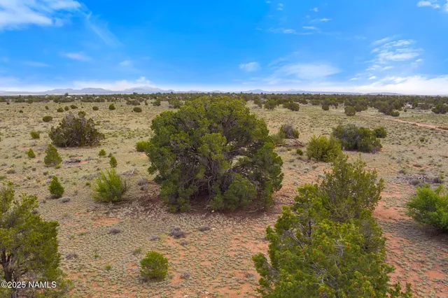 a view of a yard with wooden fence